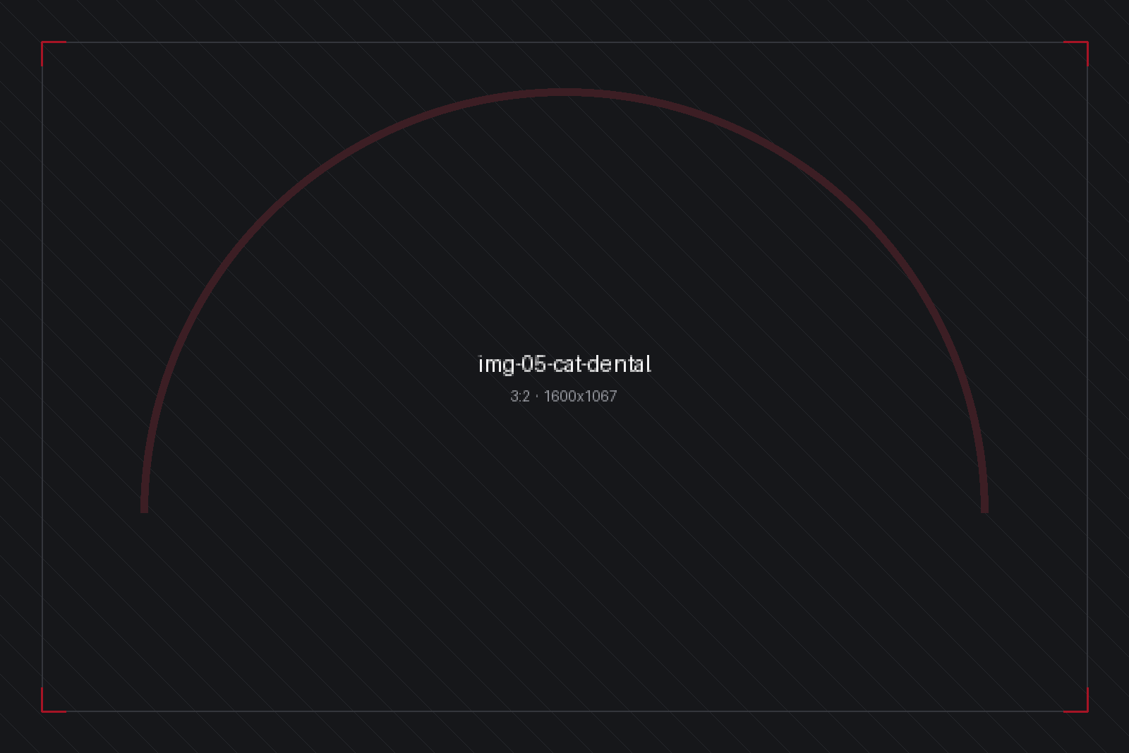 Dental
