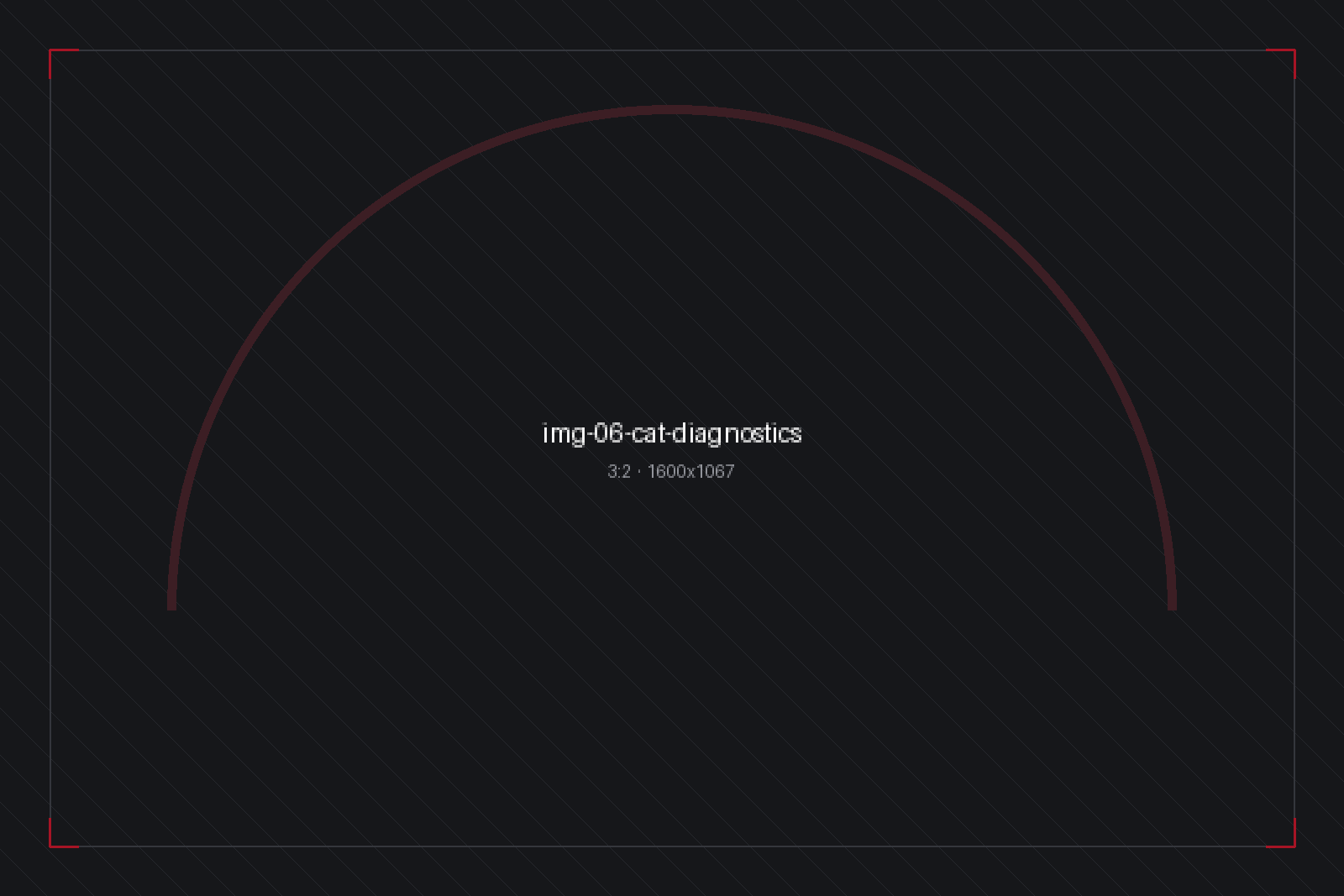 Diagnostics & Screening